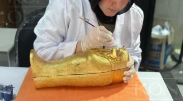 دعوة حصرية.. تفاصيل مميزة لحفل افتتاح المتحف المصري الكبير تحفة الفن المصرية تضيء ذاكرة التاريخ بأروع الاحتفالات